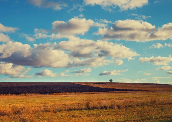 Hermoso campo con cielo azul nublado — Foto de Stock
