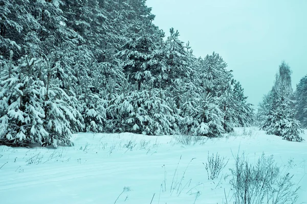 Inverno rural paisagem nevada — Fotografia de Stock