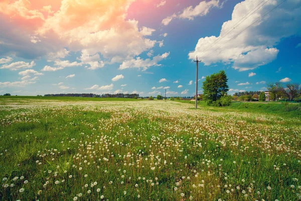 봄의 시골 풍경 — 스톡 사진