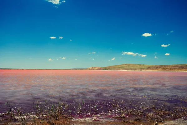 Jezero s růžovou vodou — Stock fotografie
