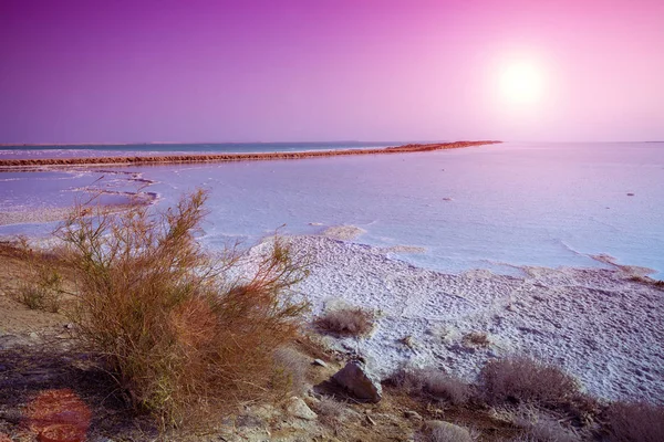 Mar Morto Riva Salata — Foto Stock