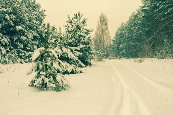 Karlı kırsal kış manzara — Stok fotoğraf