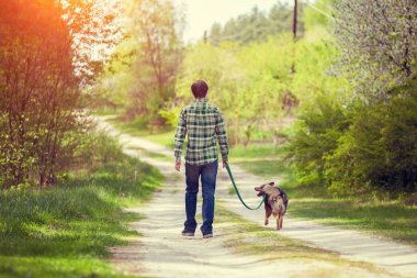 bir köpek yürüyen adam