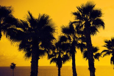 Tropikal plaj üzerinde sihirli pembe günbatımı