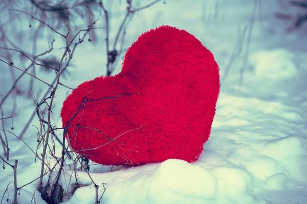 Cuore sulla neve — Foto Stock