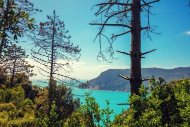 Wilde kayalık deniz kıyısında. Ligurya Denizi, Monterossa Köyü, Cinqe Terre, İtalya