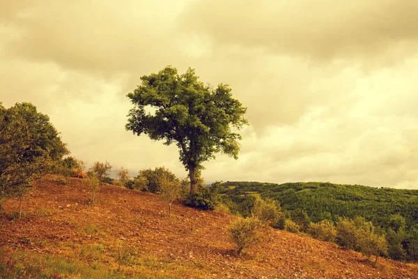 Tuscany Landscape Rainy Weather Dramatic Cloudy Sky Val Orcia Italy — Stock Photo, Image