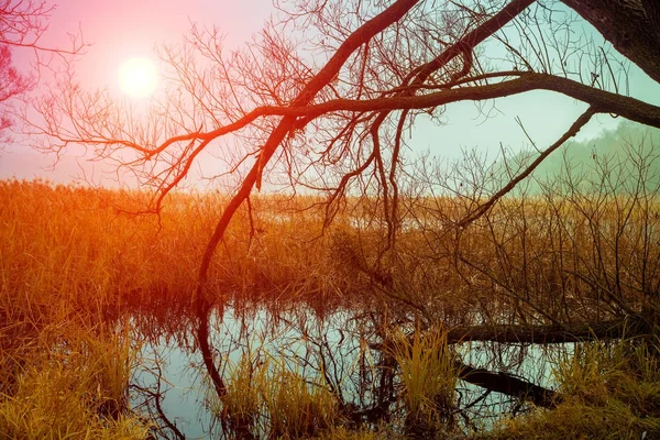 Vintage Autumn Rural Landscape Sunset Trees Leaves Calm River Misty — Stock Photo, Image