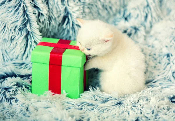 Mignon Petit Chaton Debout Près Boîte Cadeau Sur Couverture Moelleuse — Photo