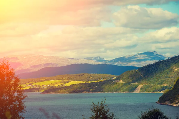Вид Фьорд Скалистое Побережье Красивая Природа Норвегии — стоковое фото