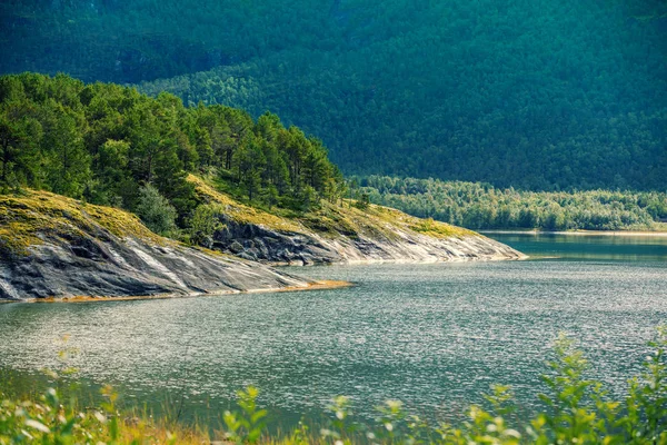 View Fjord Rocky Seashore Beautiful Nature Norway — Stock Photo, Image