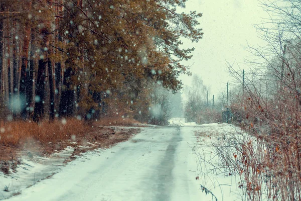 Winter Verschneite Ländliche Landschaft Schneesturm Feldweg Entlang Kiefernwald — Stockfoto