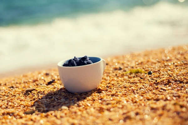 Dead Sea Mud Spa Treatments Cup Beach — Stock Photo, Image