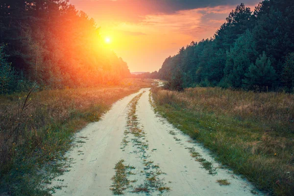 Сільська Брудна Дорога Лісі Похмурим Небом Заходу Сонця — стокове фото