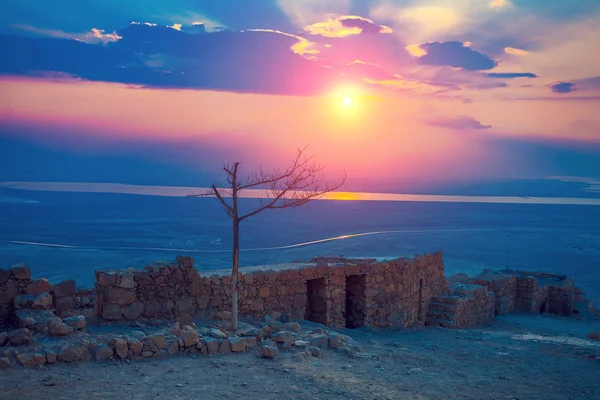 Hermoso Amanecer Sobre Fortaleza Masada Ruinas Del Palacio Del Rey —  Fotos de Stock