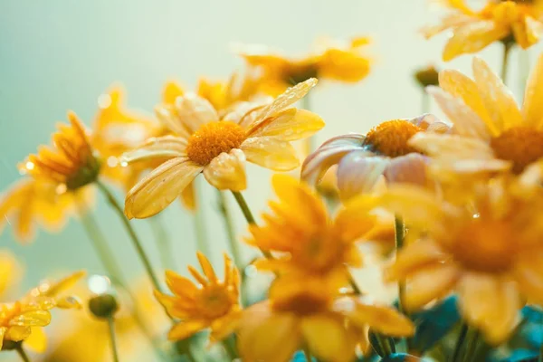 Vintage Amarelo Flor Fundo — Fotografia de Stock
