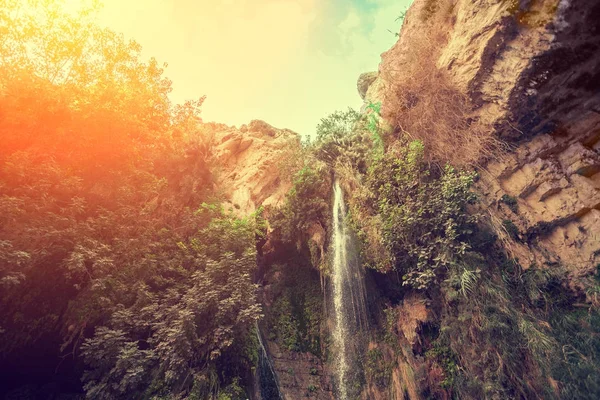 Cascada David Reserva Natural Ein Gedi — Foto de Stock