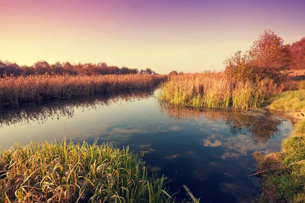 Mistige Ochtend Mist Rivier Bank Van Rivier Bij Zonsopgang — Stockfoto