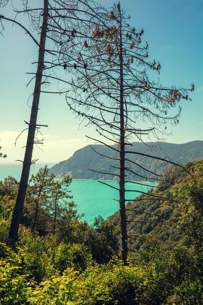 Costa Rocosa Salvaje Del Mar Mar Liguria Monterossa Village Cinqe — Foto de Stock