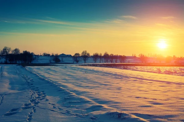 Snowy Field Winter Sunset — Stock Photo, Image