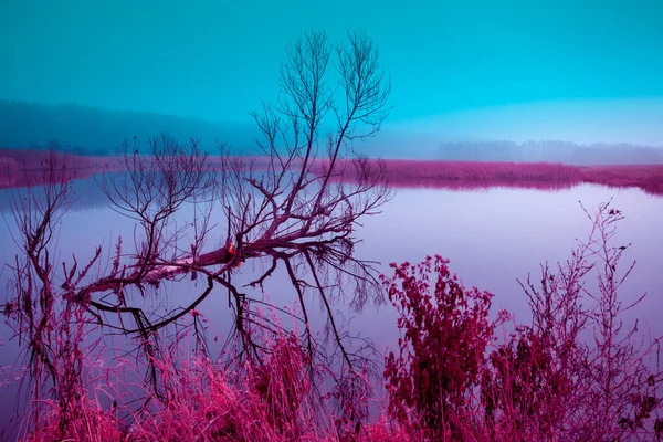 Blau Rot Jahrgang Herbst Ländliche Landschaft Nebliger Morgen Auf Dem — Stockfoto