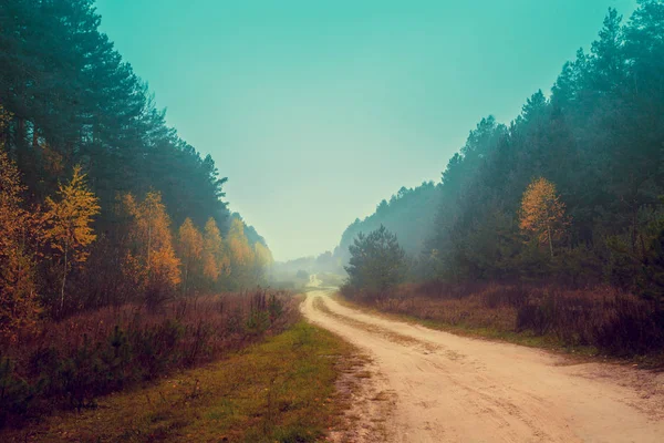 Herfst Landschap Mistige Ochtend Onverharde Weg Onder Bos — Stockfoto
