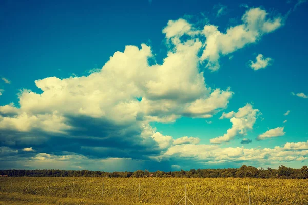 Штормовое Облачно Голубое Небо — стоковое фото