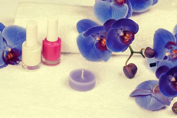 Nail Polish Manicure Decorated Blue Orchid Flower — Stock Photo, Image