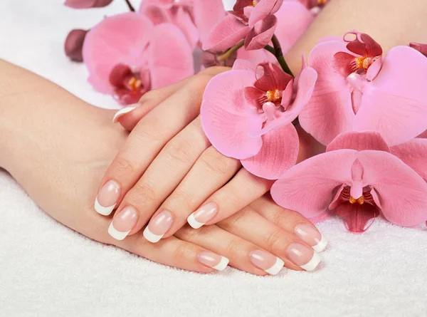 Hermosas Manos Femeninas Con Manicura Francesa Cubierta Flores Orquídea Rosa — Foto de Stock