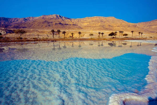 Mar Morto Costa Salgada Natureza Selvagem — Fotografia de Stock