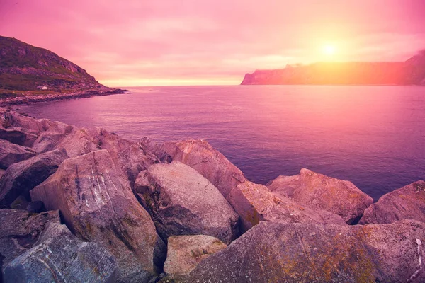 Fjord Felsiger Strand Bei Rosa Sonnenuntergang Natur Norwegen Senja Insel — Stockfoto