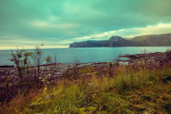 Fjord Steniga Stranden Kväll Natur Norge Senja Vackra Bukten Pittoreska — Stockfoto