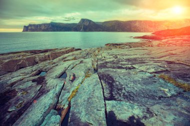 Fiyort, sihirli pembe mavi batımında kayalık plaj vahşi doğa Norveç. Senja Adası. Güzel Körfezi. Güzel gün batımı