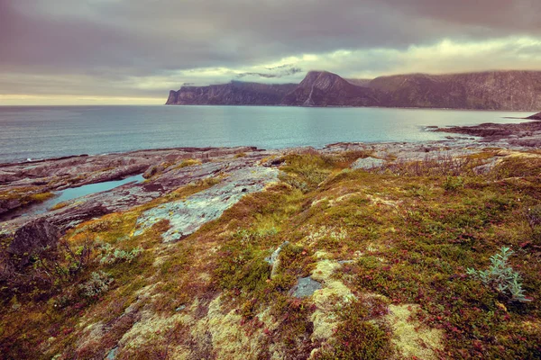 Fjord Stenig Strand Magiska Solnedgången Vilda Naturen Norge Senja Vackra — Stockfoto