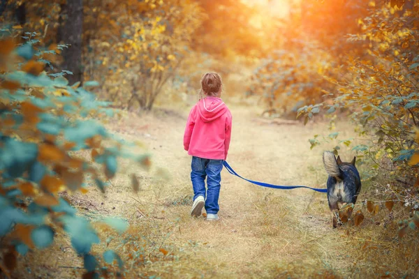 Lycklig Liten Flicka Som Leker Med Hunden Skogen Flickan Sätter — Stockfoto