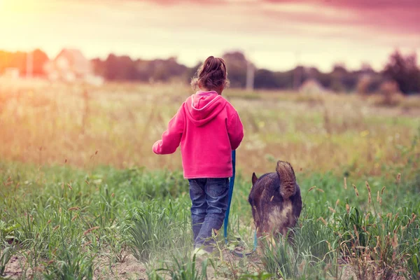 快乐的小女孩在田野里遛狗 女孩牵着狗的皮带回到相机 女孩看村庄 — 图库照片