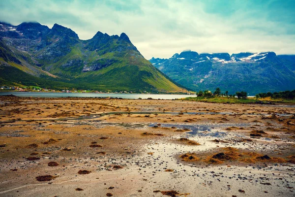 フィヨルドの眺め 岩が多い海岸と青い曇り空 ノルウェーの美しい自然 海の干潮 — ストック写真