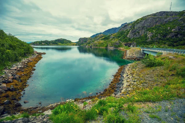 フィヨルドの眺め 岩が多い海岸 フィヨルド沿いの道路 ノルウェーの美しい自然 — ストック写真