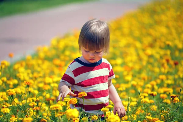 Kleine Jongen Een Bloeiende Gazon Lopen — Stockfoto