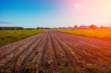 Açık gökyüzü ve güneş ile tarıma elverişli alan
