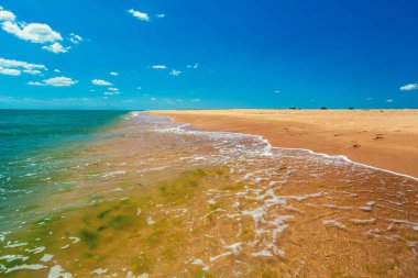 Tropik deniz kıyısında. Issız kumsalı. Okyanus ve mavi gökyüzü ile deniz manzara.