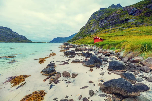 雨の日のフィヨルド 白い砂浜のビーチの岩のビーチ ノルウェーの美しい自然 ロフォーテン諸島 ビーチで釣り家 — ストック写真