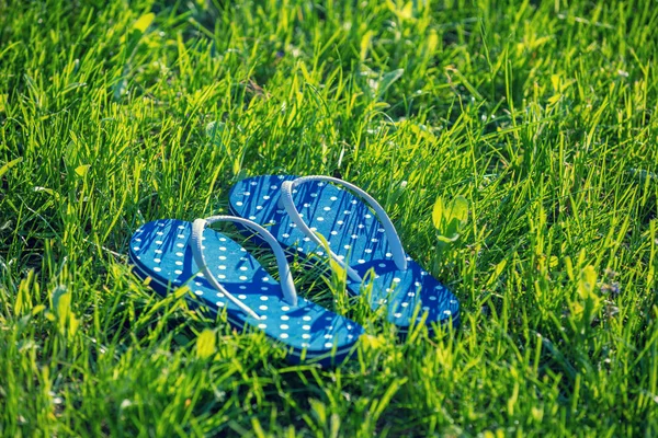Flip Flop Sandalen Een Gras Zomer — Stockfoto