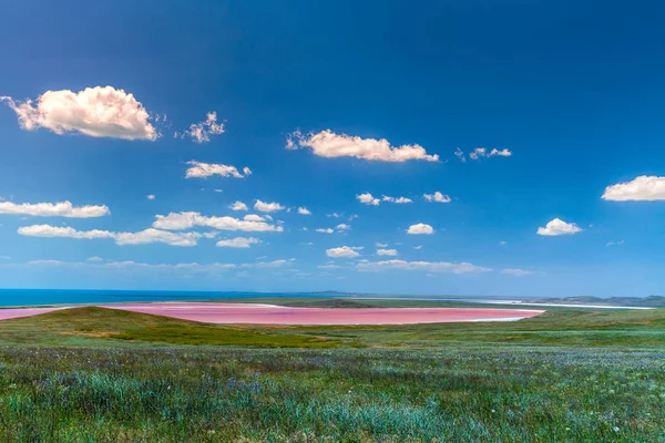 Рожеве Озеро Степу Біля Моря — стокове фото