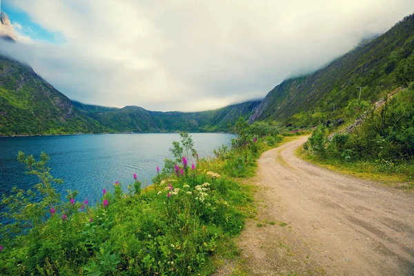 Bergweg Langs Fjord Natuur Noorwegen — Stockfoto