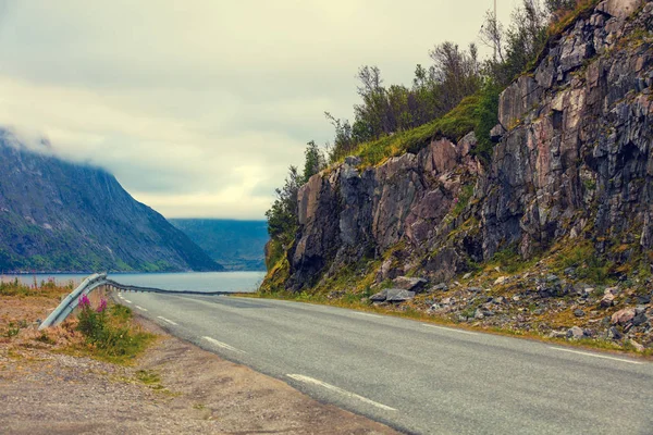 フィヨルド沿いの山道 自然ノルウェー — ストック写真