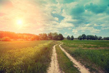 Gün batımında mavi bulutlu gökyüzü ile alanında toprak yol. Güzel akşam doğa, kırsal manzara, Bahar
