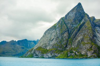 Kayalık sahil. Vahşi. Norveç güzel doğası. Lofoten Adaları. Reine