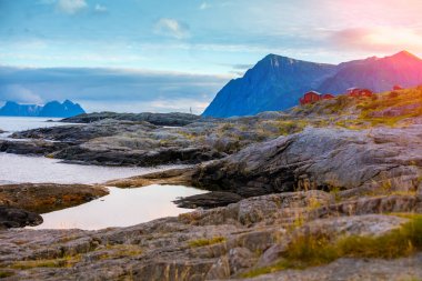 Kayalık plaj akşamları. Norveç güzel doğası. Lofoten Adaları. Reine
