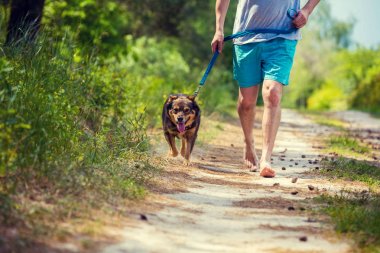 Bir adam bir toprak yolda yaz aylarında bir köpekle yalınayak çalışan